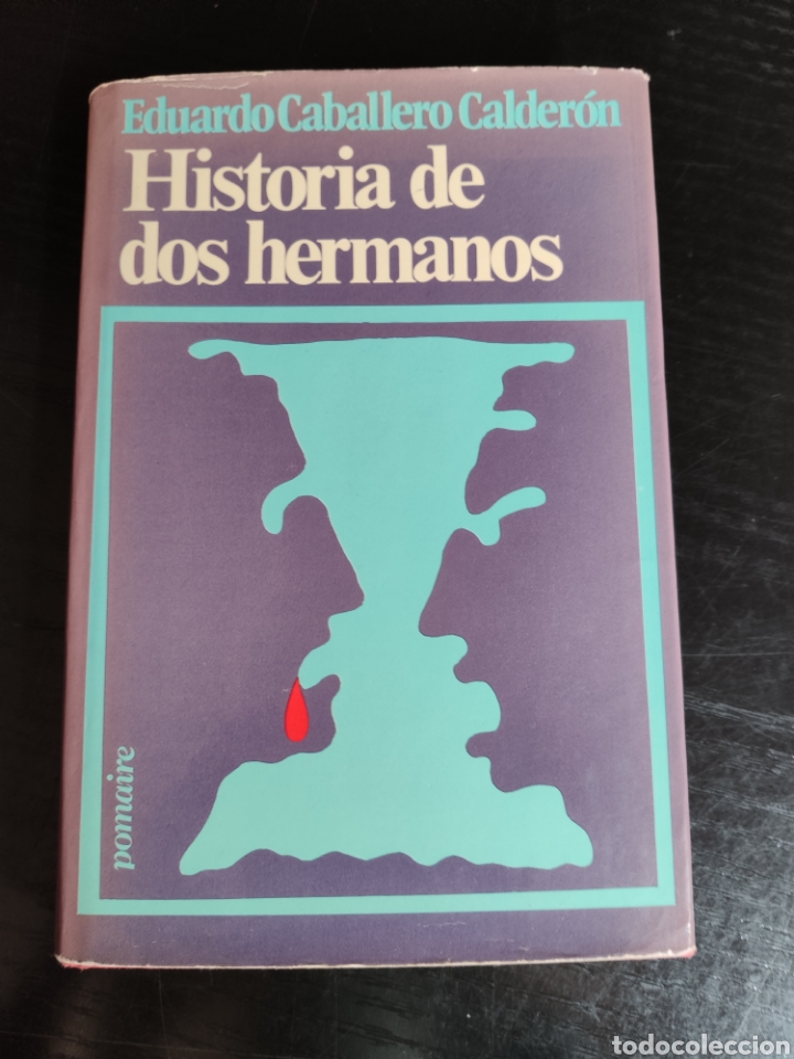 Libros: historia de dos hermanos - Foto 1