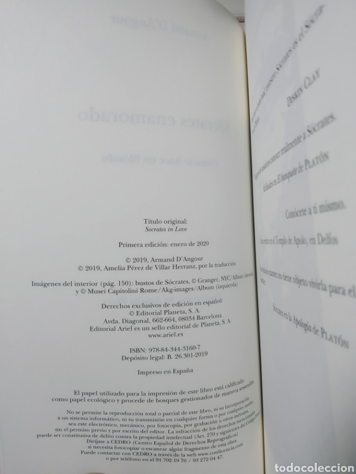 Libros: SÓCRATES ENAMORADO ARMAND D ANGOUR. Libro nuevo primera edición - Foto 2 - 191543312