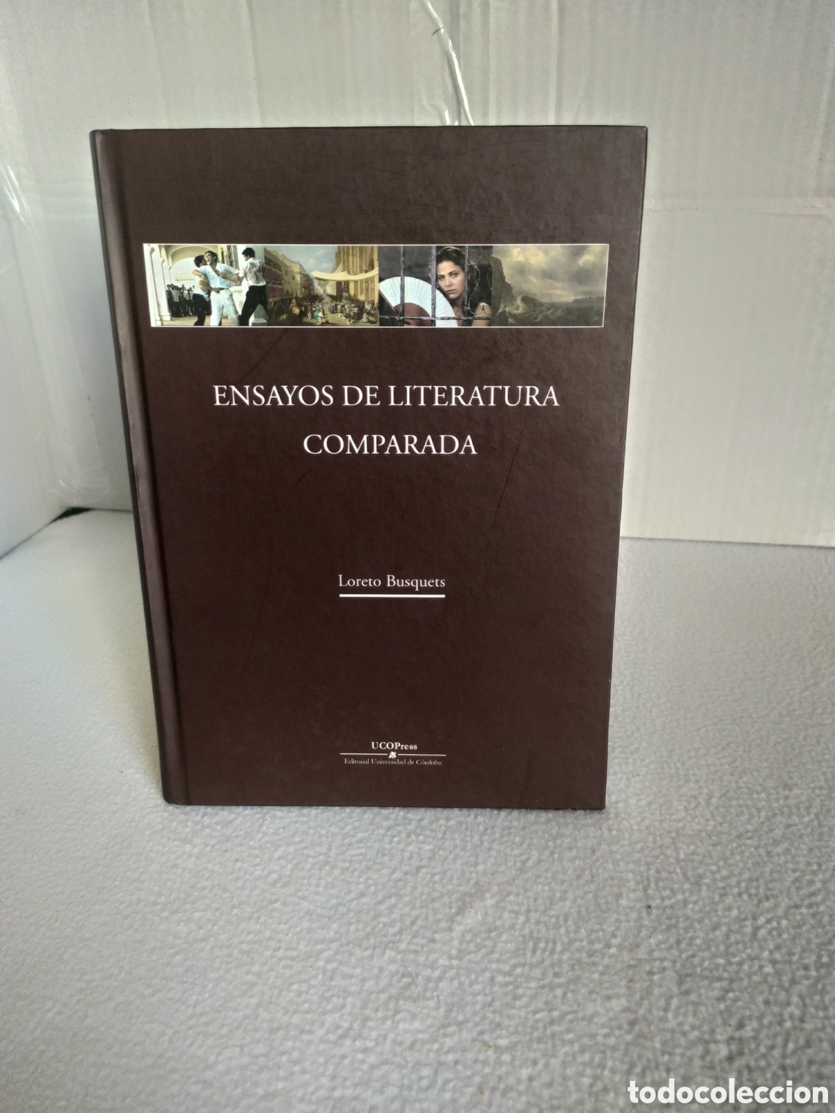Libros: Ensayos de literatura comparada 2018 - Foto 1