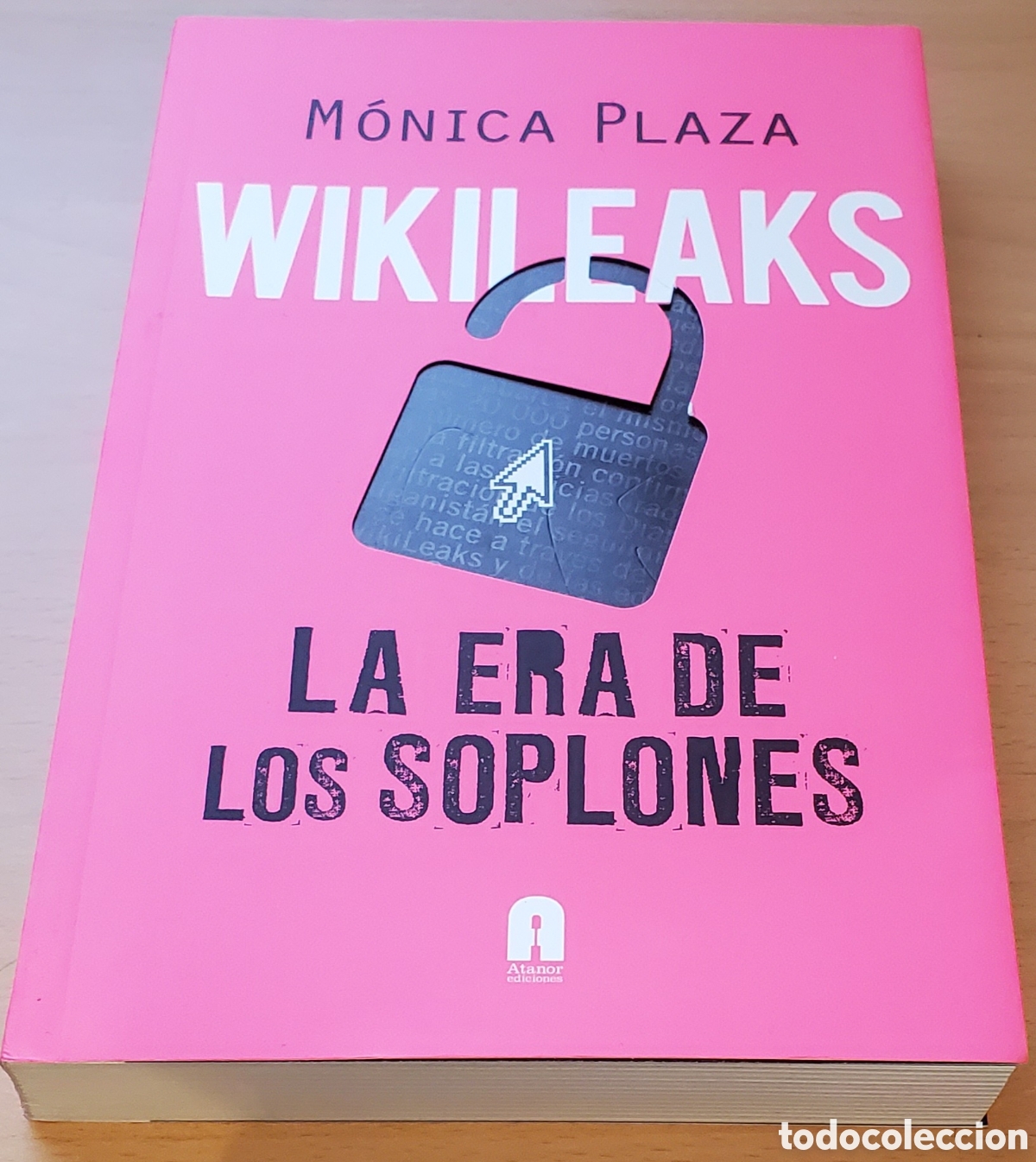 Libros: Wikileaks: la era de los soplones - M&oacute;nica Plaza - Foto 1
