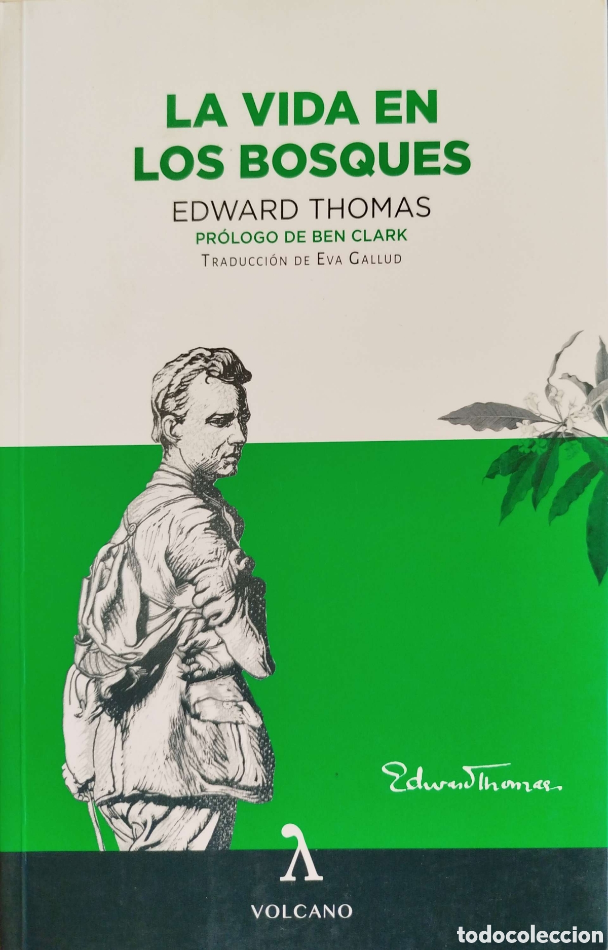 Libros: La vida en los bosques. Edward Thomas. Volcano. 2021. 1&ordf;edici&oacute;n. - Foto 1