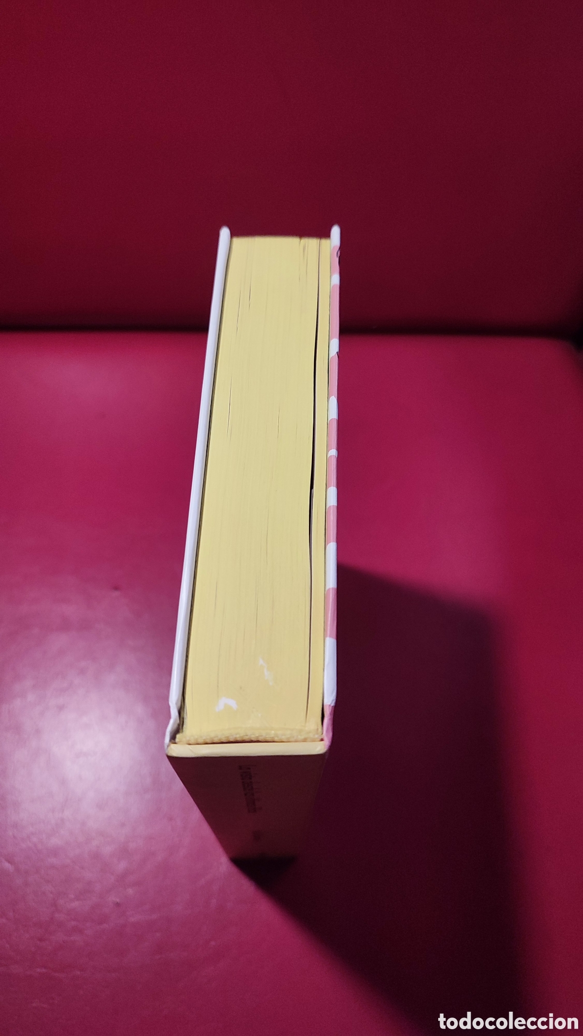 Libros: La vista desde las &uacute;ltimas filas - Foto 4
