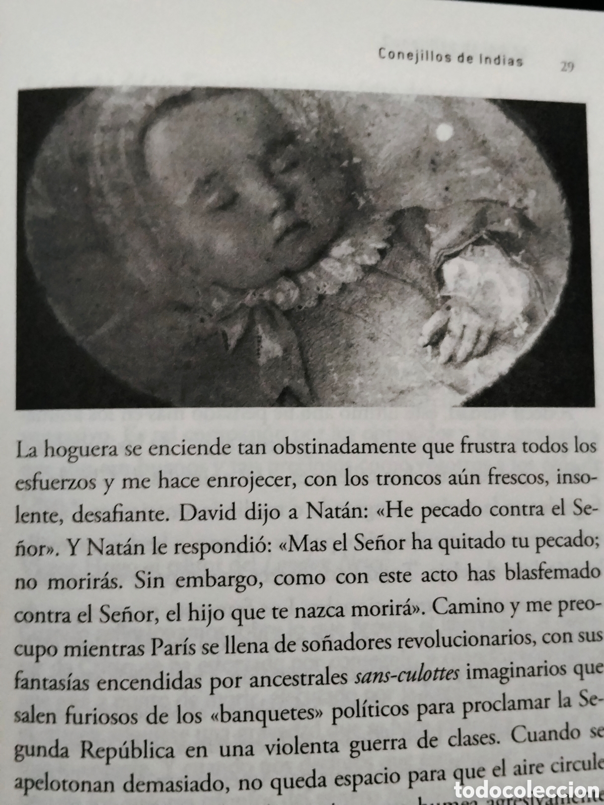 Libros: THALIA FIELD. CONEJILLOS DE INDIAS .ALBA - Foto 3