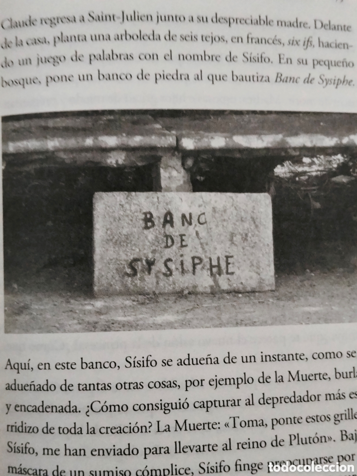 Libros: THALIA FIELD. CONEJILLOS DE INDIAS .ALBA - Foto 5