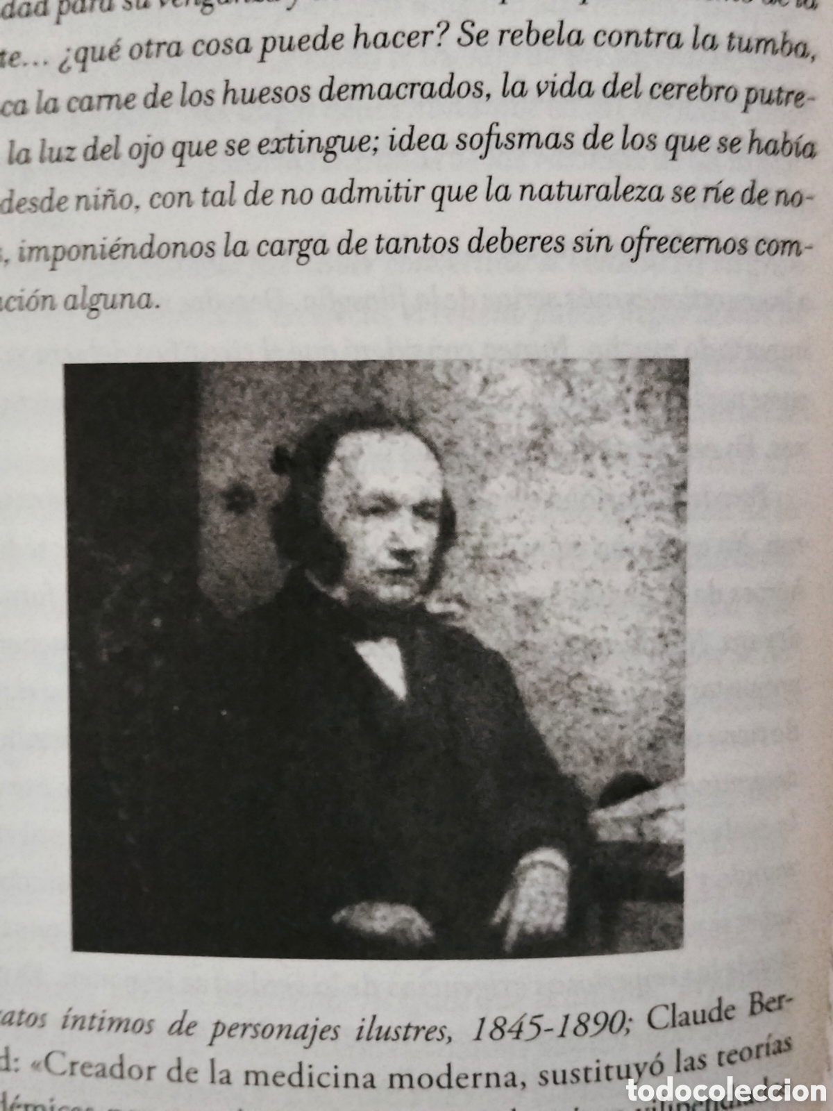Libros: THALIA FIELD. CONEJILLOS DE INDIAS .ALBA - Foto 6