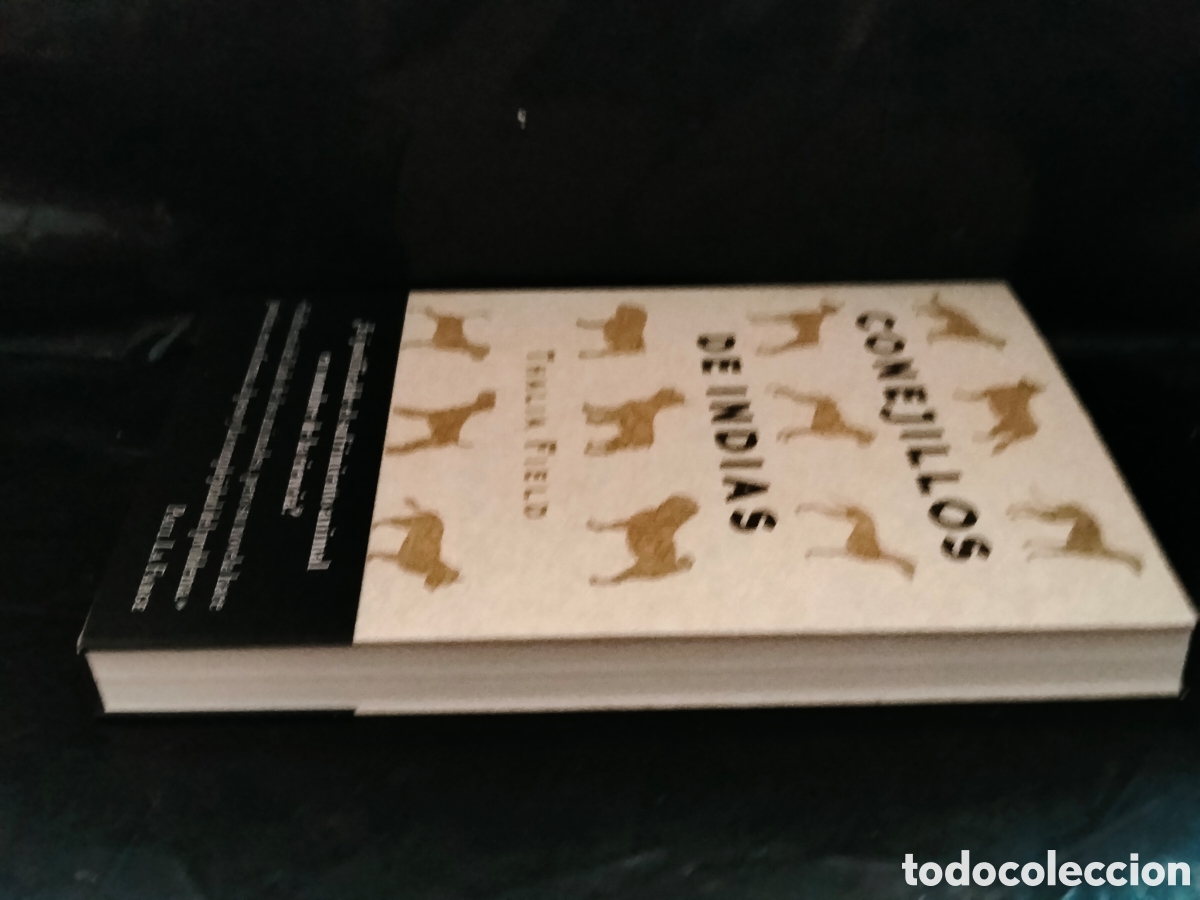 Libros: THALIA FIELD. CONEJILLOS DE INDIAS .ALBA - Foto 9