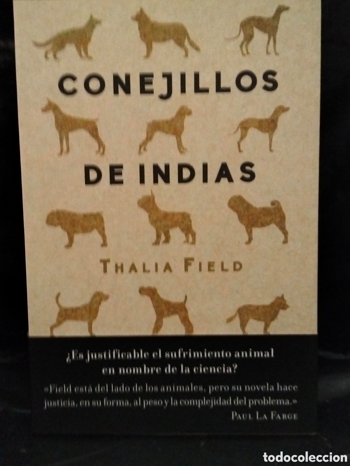Libros: THALIA FIELD. CONEJILLOS DE INDIAS .ALBA