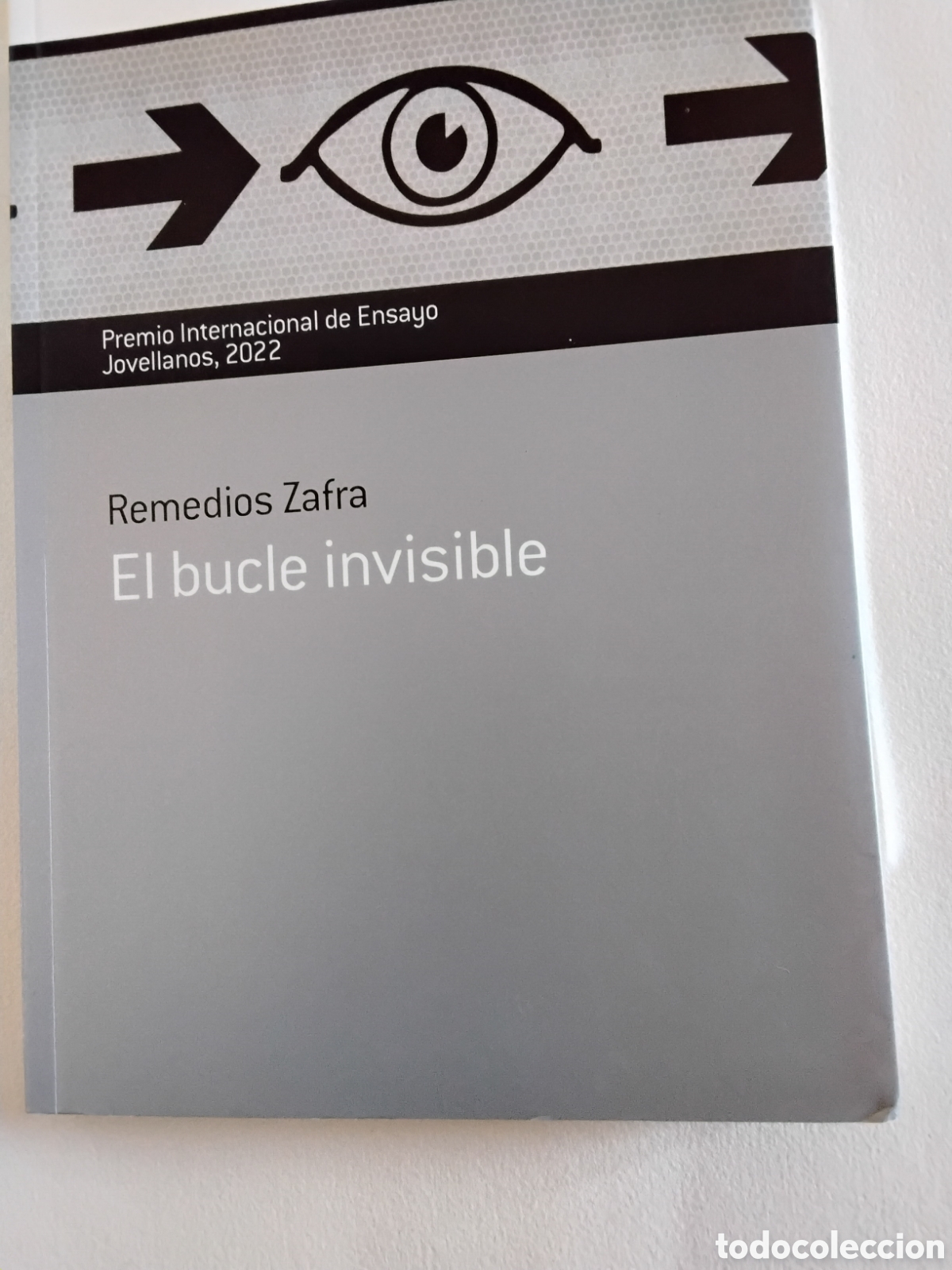 Libros: EL BUCLE INVISIBLE. REMEDIOS ZAFRA