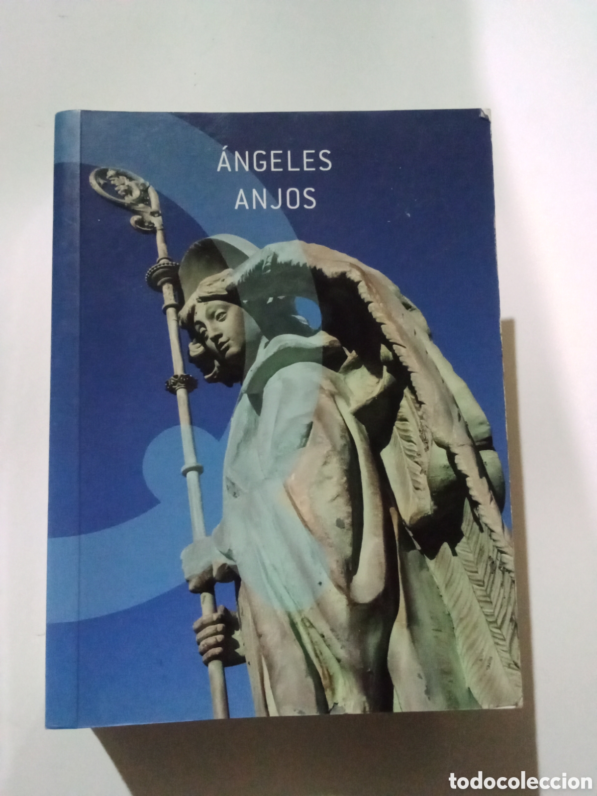 Libros: ANGELES ANJOS - LIBRO - Foto 1