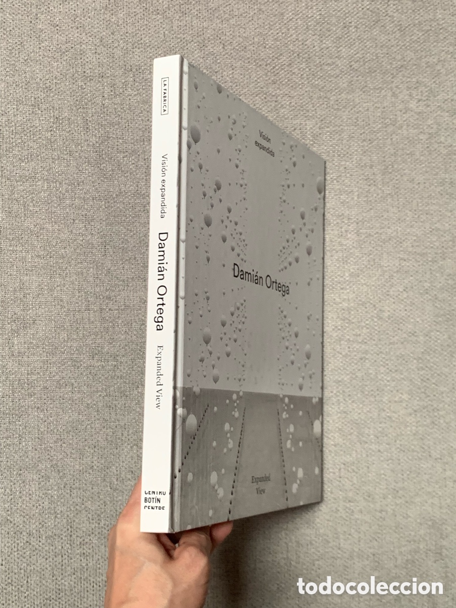 Libros: Visi&oacute;n Expandida - Dami&aacute;n Ortega - Foto 2