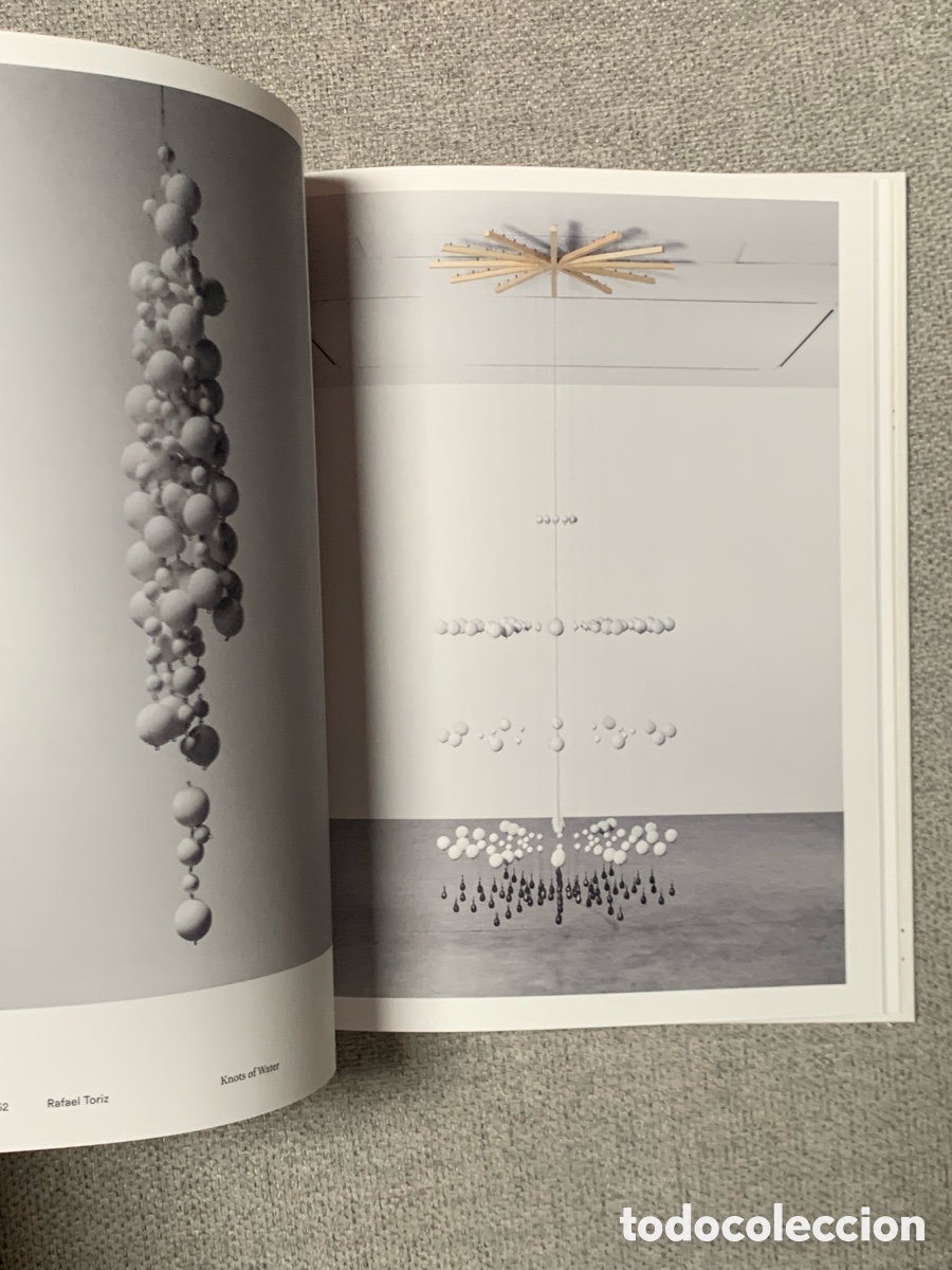 Libros: Visi&oacute;n Expandida - Dami&aacute;n Ortega - Foto 5