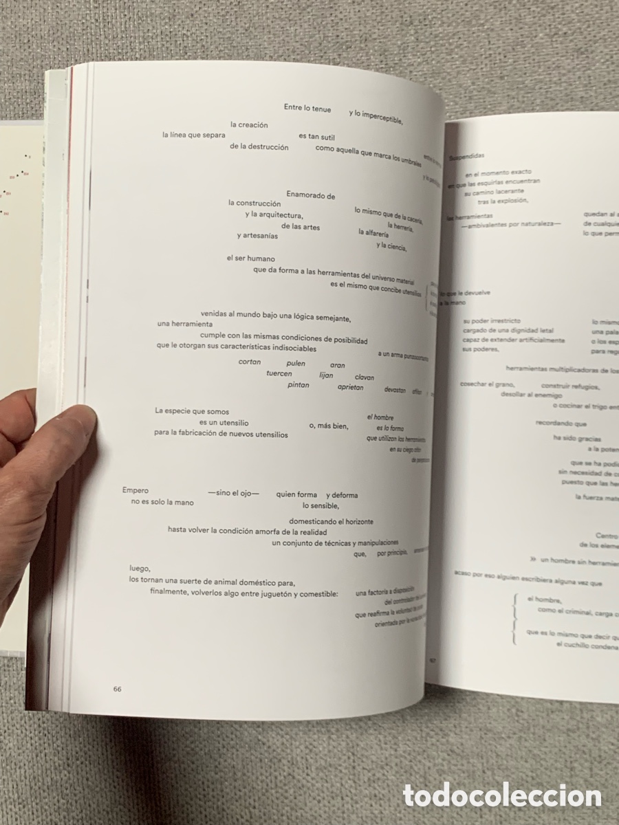 Libros: Visi&oacute;n Expandida - Dami&aacute;n Ortega - Foto 6
