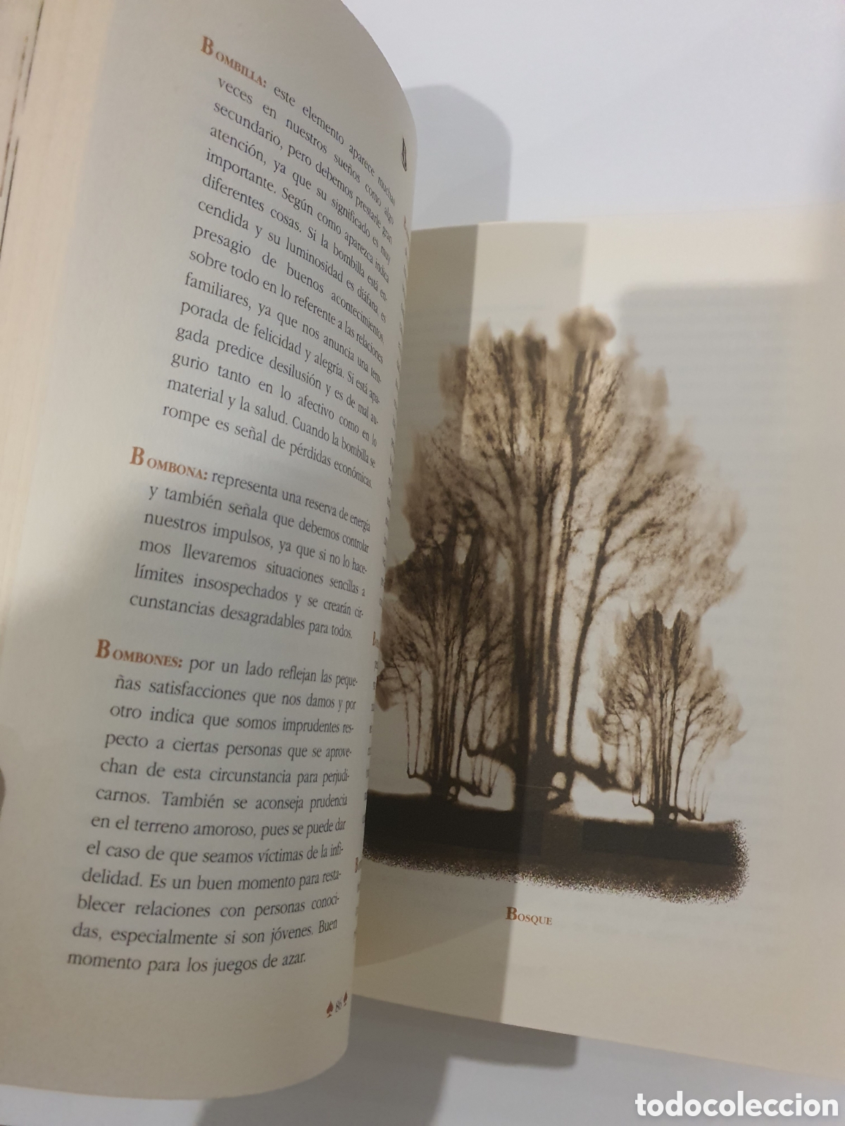 Libros: Libro gran diccionario de los mil sue&ntilde;os. - Foto 3