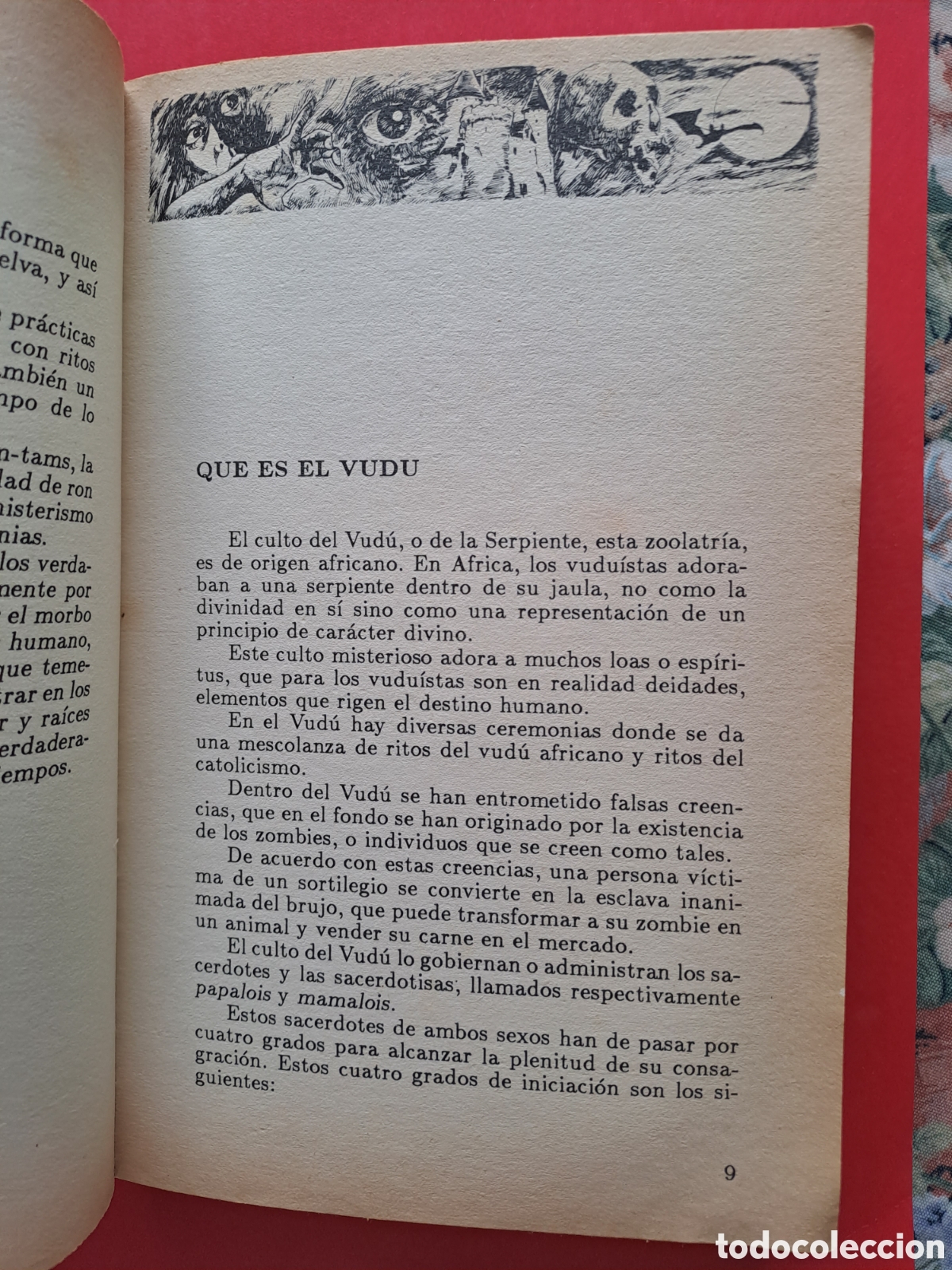 Libros: LIBRO EL VUDU - Foto 9