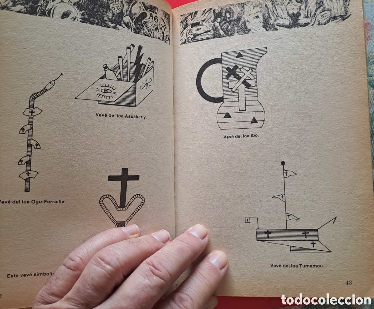 Libros: LIBRO EL VUDU - Foto 10