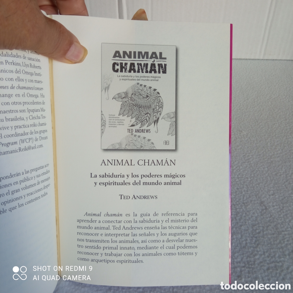 Libros: Reiki chamanico 1* edici&oacute;n. 2011. - Foto 4