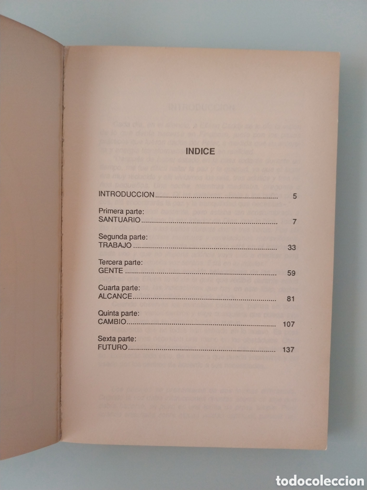 Libros: CIMIENTOS DE FINDHORN DE EILEEN CADDY, EDITORIAL ERREPAR - Foto 3