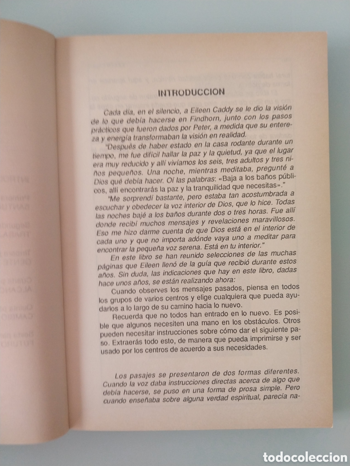 Libros: CIMIENTOS DE FINDHORN DE EILEEN CADDY, EDITORIAL ERREPAR - Foto 4