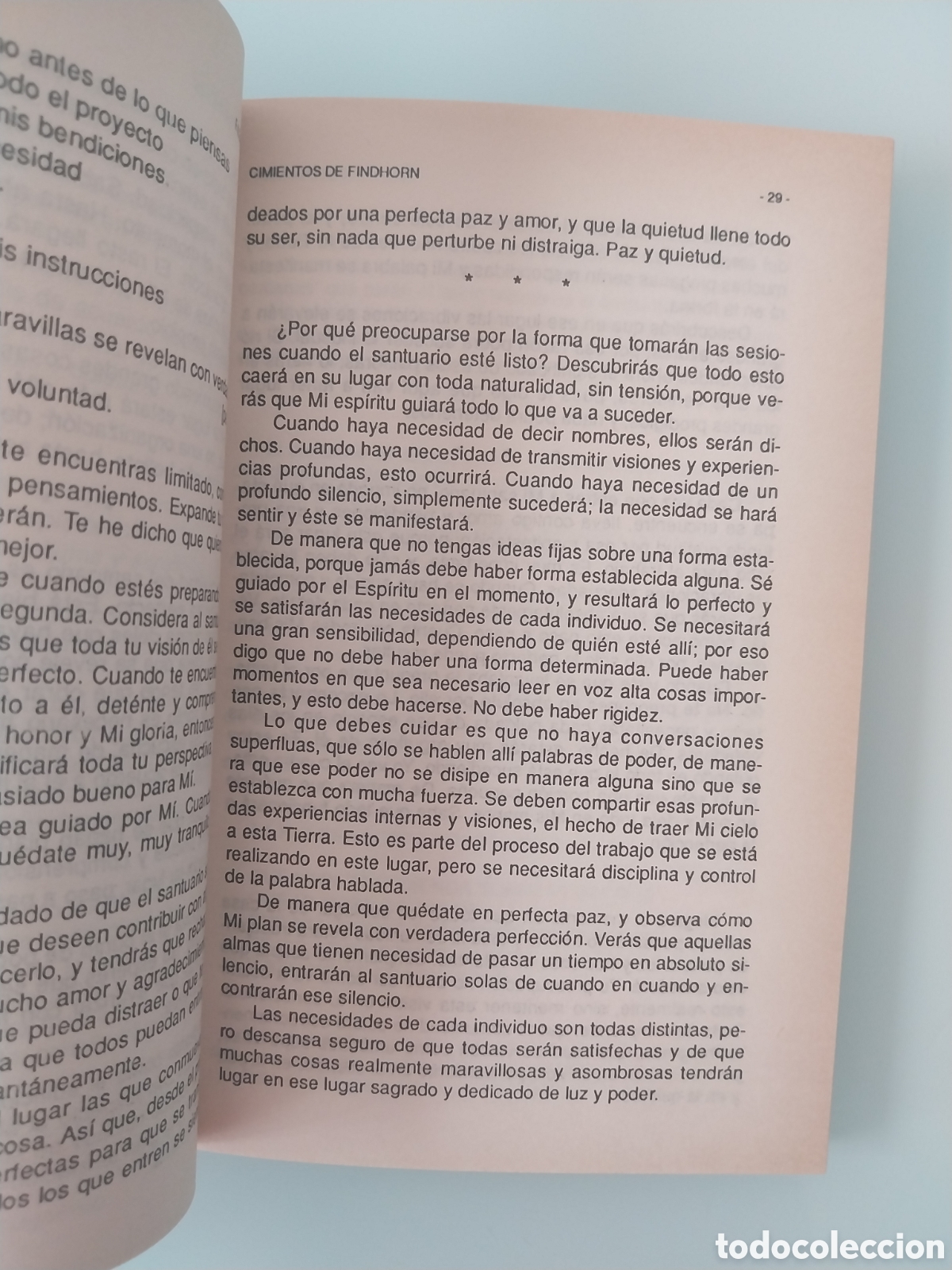 Libros: CIMIENTOS DE FINDHORN DE EILEEN CADDY, EDITORIAL ERREPAR - Foto 6