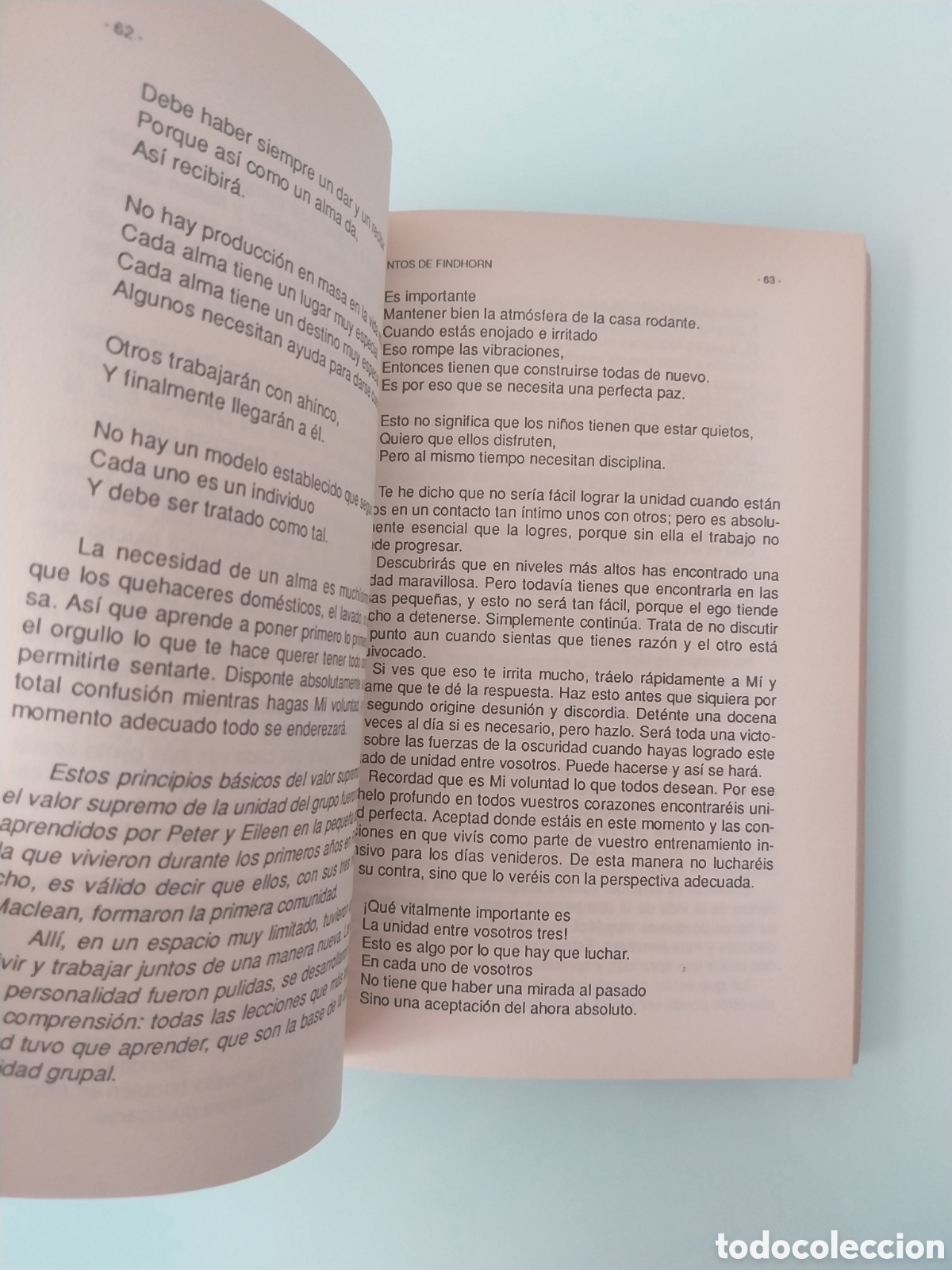 Libros: CIMIENTOS DE FINDHORN DE EILEEN CADDY, EDITORIAL ERREPAR - Foto 7