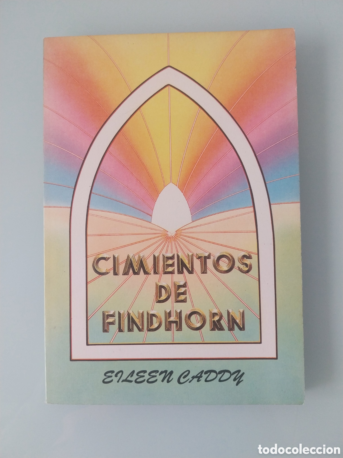 Libros: CIMIENTOS DE FINDHORN DE EILEEN CADDY, EDITORIAL ERREPAR - Foto 1
