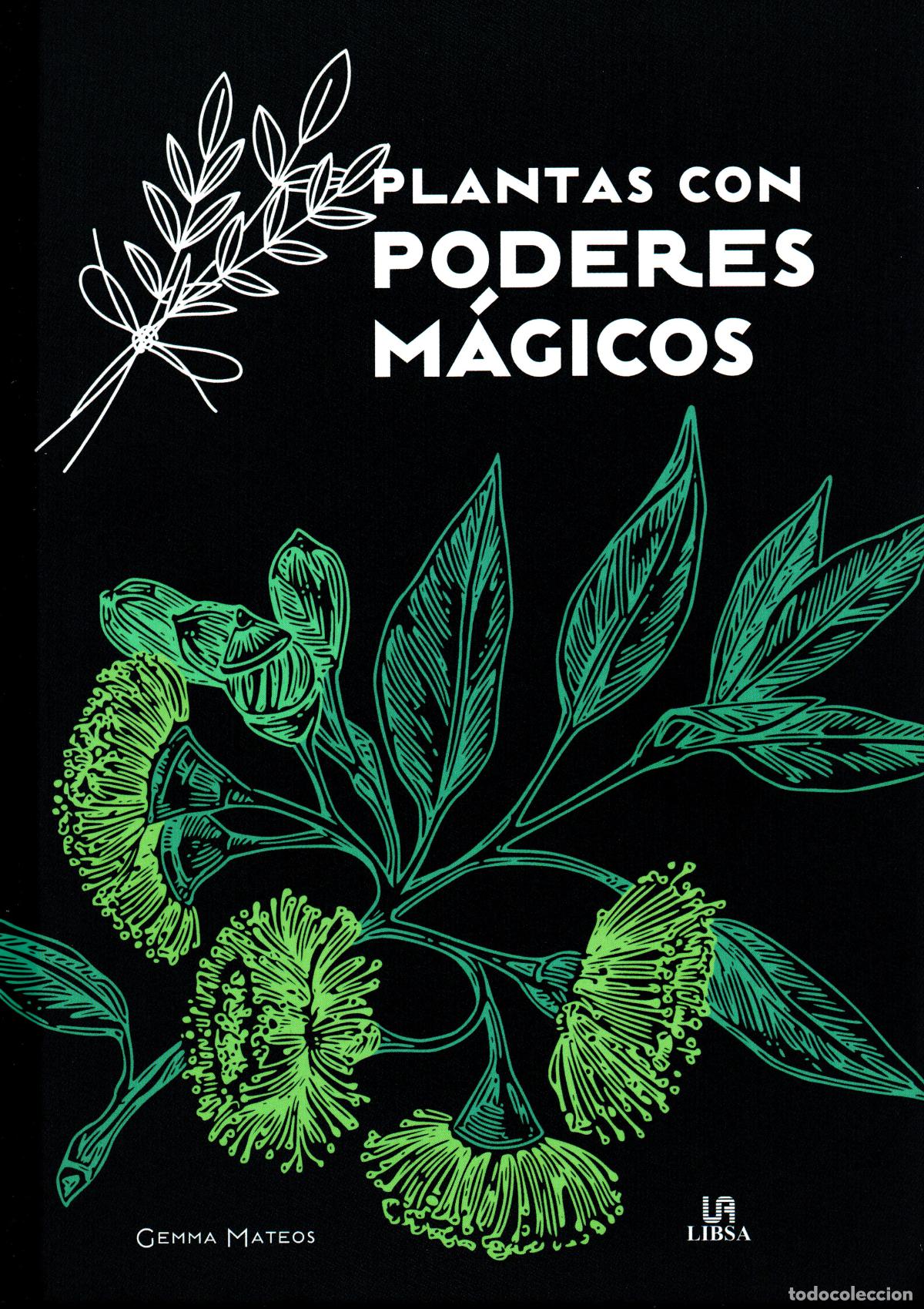 Libros: PLANTAS CON PODERES MAGICOS - GEMMA MATEOS - Foto 1