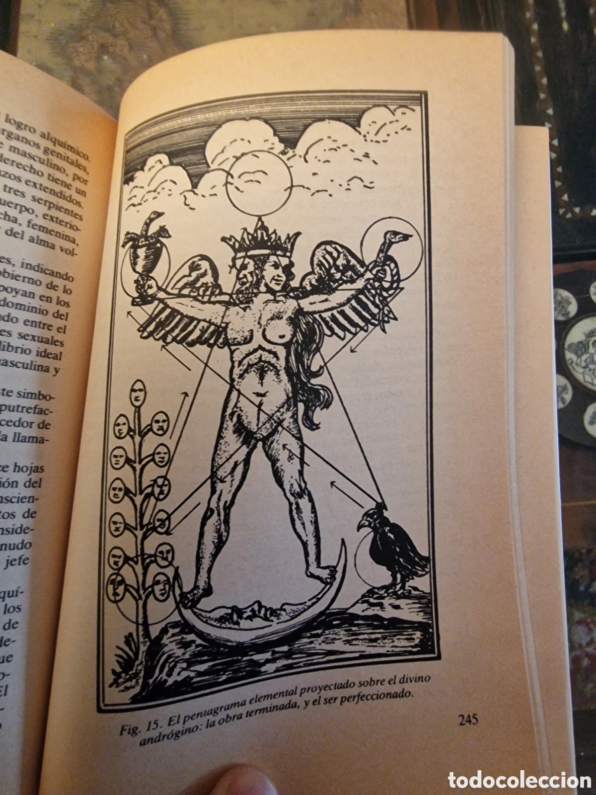 Libros: El misterio de Fulcanelli. Kenneth Rayner Johnson - Foto 6