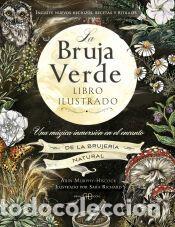 Libros: La bruja verde. Libro ilustrado - Arin Murphy-Hiscock - Foto 1