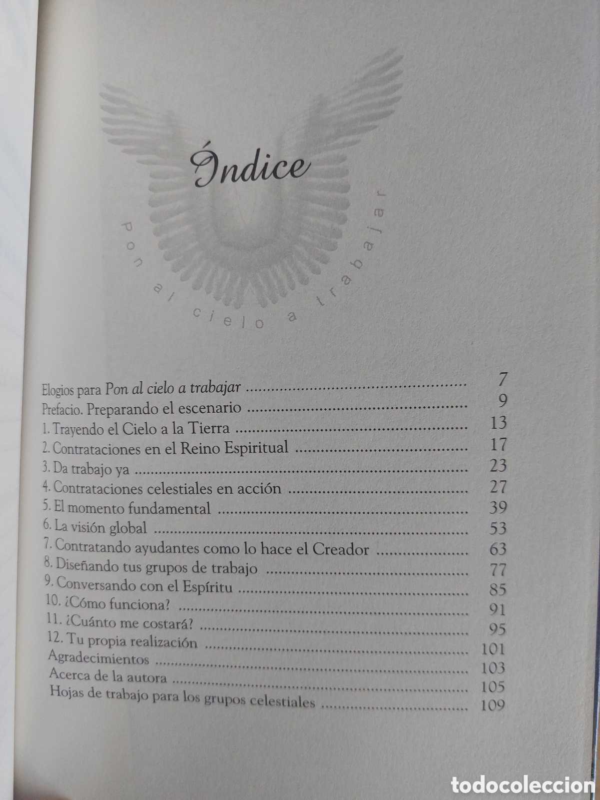 Libros: Pon al cielo a trabajar - Foto 2