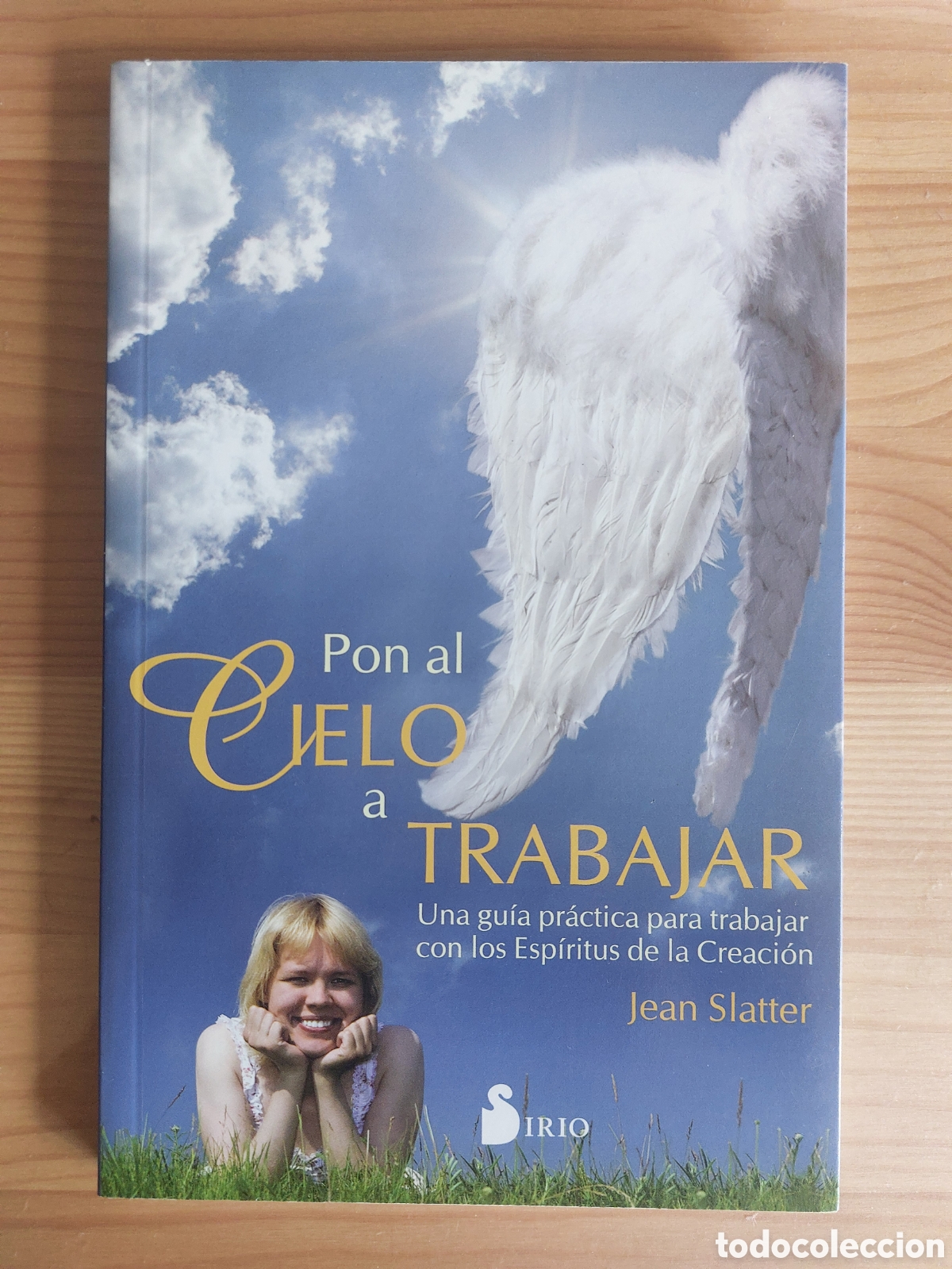 Libros: Pon al cielo a trabajar - Foto 1