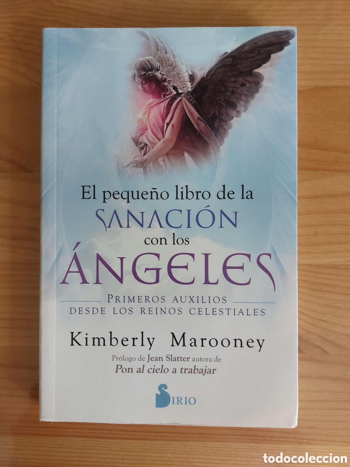 Libros: El peque&ntilde;o libro de la sanaci&oacute;n con los &aacute;ngeles