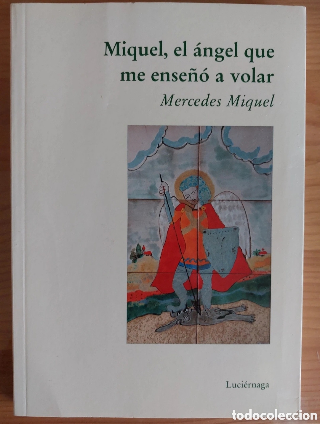 Libros: Miguel, el &aacute;ngel que me ense&ntilde;&oacute; a volar