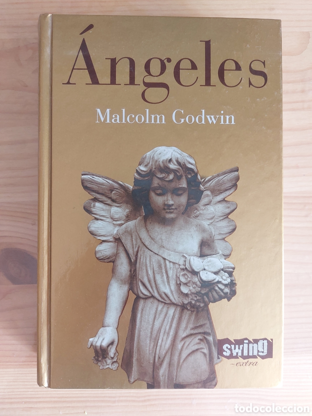 Libros: &Aacute;ngeles, de Malcolm Godwin