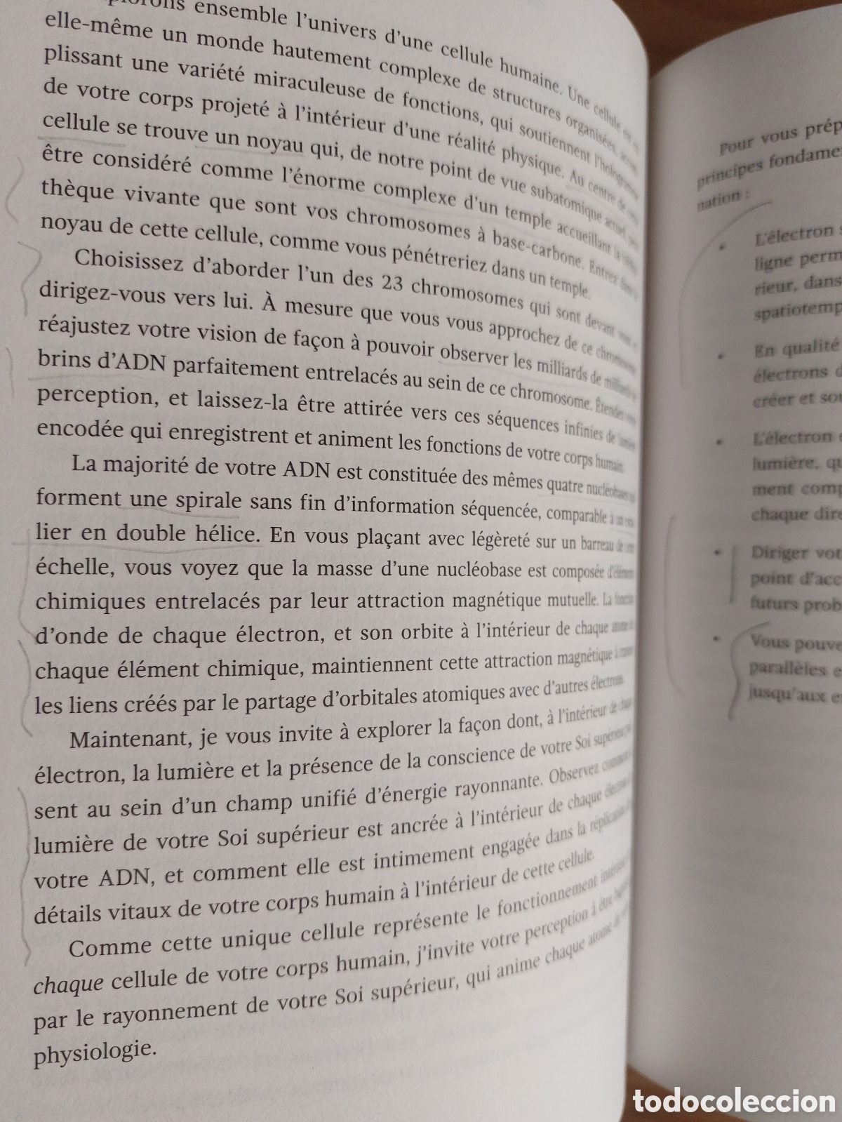 Libros: Le code Sophia. Kaia Ra - Foto 8