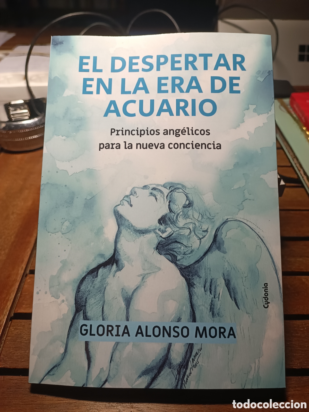 Libros: EL DESPERTAR EN LA ERA DE ACUARIO Principios ang&eacute;licos conciencia GLORIA ALONSO cydonia env&iacute;o 2,80