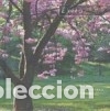 Libros: &Eacute;XITO - Four Seasons Publishing - Foto 1