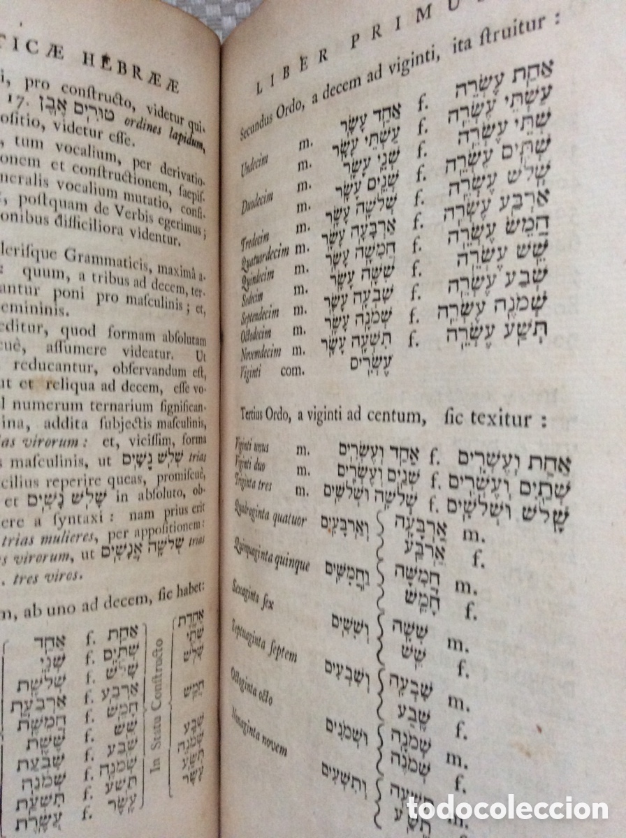 Libros: GRAMMATICA LINGUAE HEBRAE. JACOBO ROBERTSON. - Foto 4