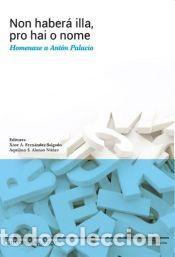 Libri: Non haber&aacute; illa, pro hai o nome.: Homenaxe a Ant&oacute;n Palacio. - &nbsp;