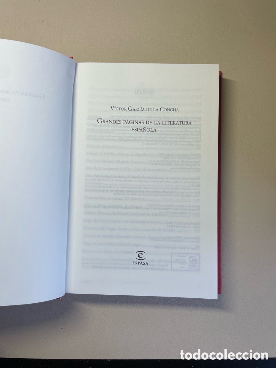 Libros: Grandes p&aacute;ginas de la literatura espa&ntilde;ola. V&iacute;ctor Garc&iacute;a de la Concha.