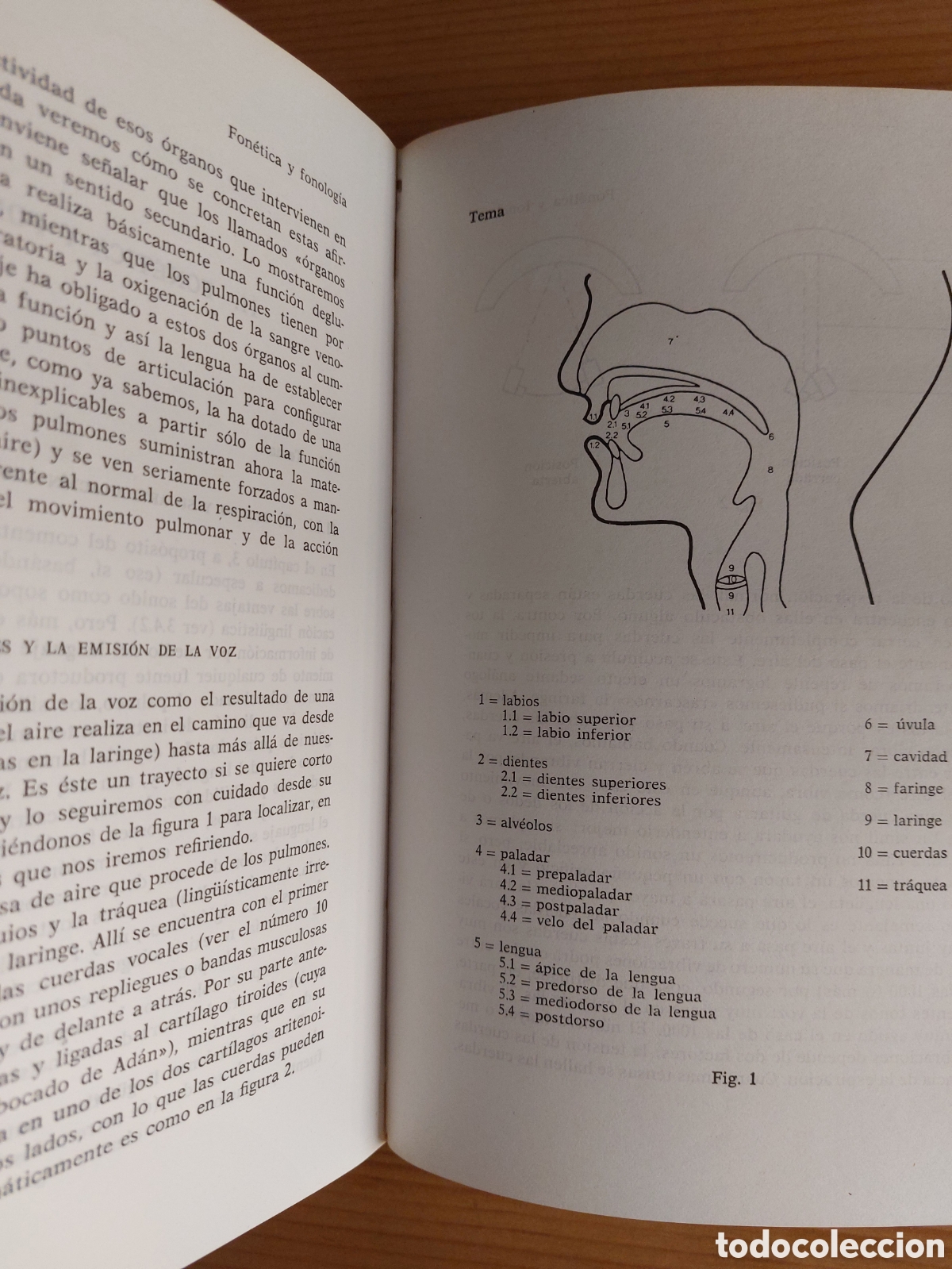 Libros: Ling&uuml;&iacute;stica. Jes&uacute;s Tus&oacute;n - Foto 9