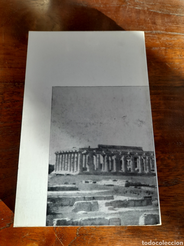 Libros: Defensa de S&oacute;crates. PLAT&Oacute;N - Foto 2