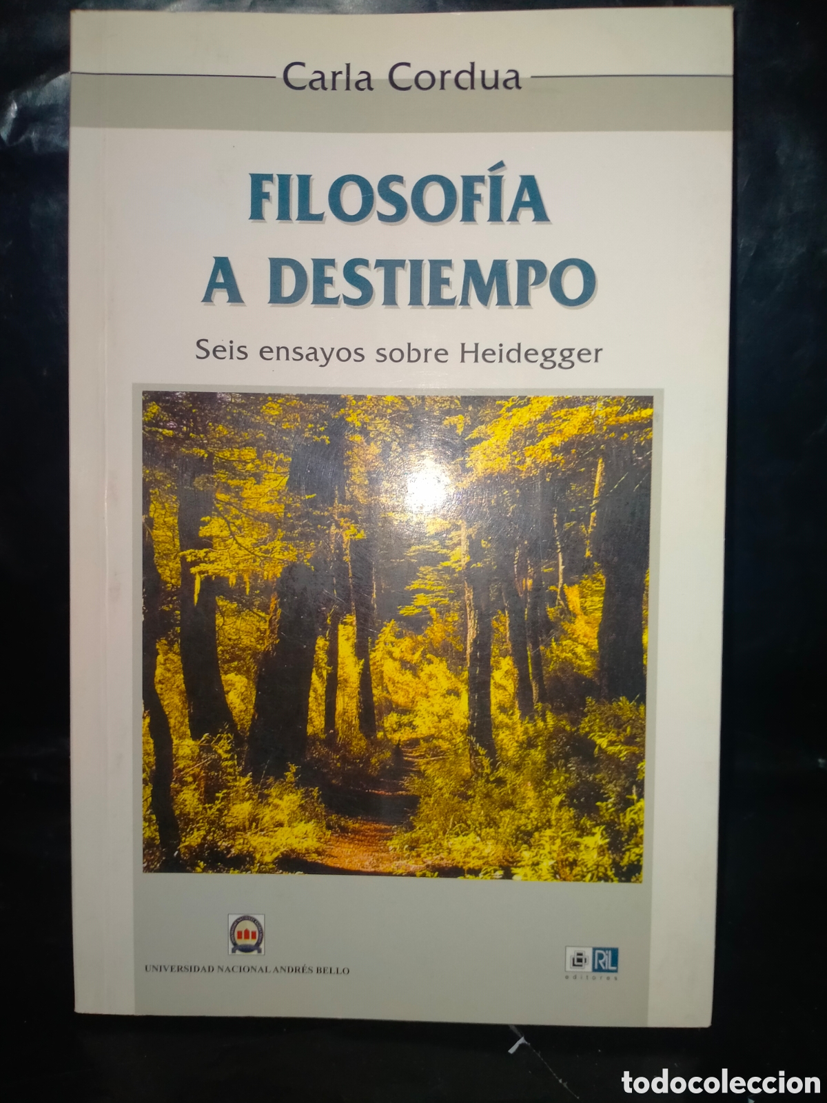 Libros: C CORDUA. FILOSOF&Iacute;A A DESTIEMPO(SEIS ENSAYOS SOBRE HEIDEGGER) .UNAB