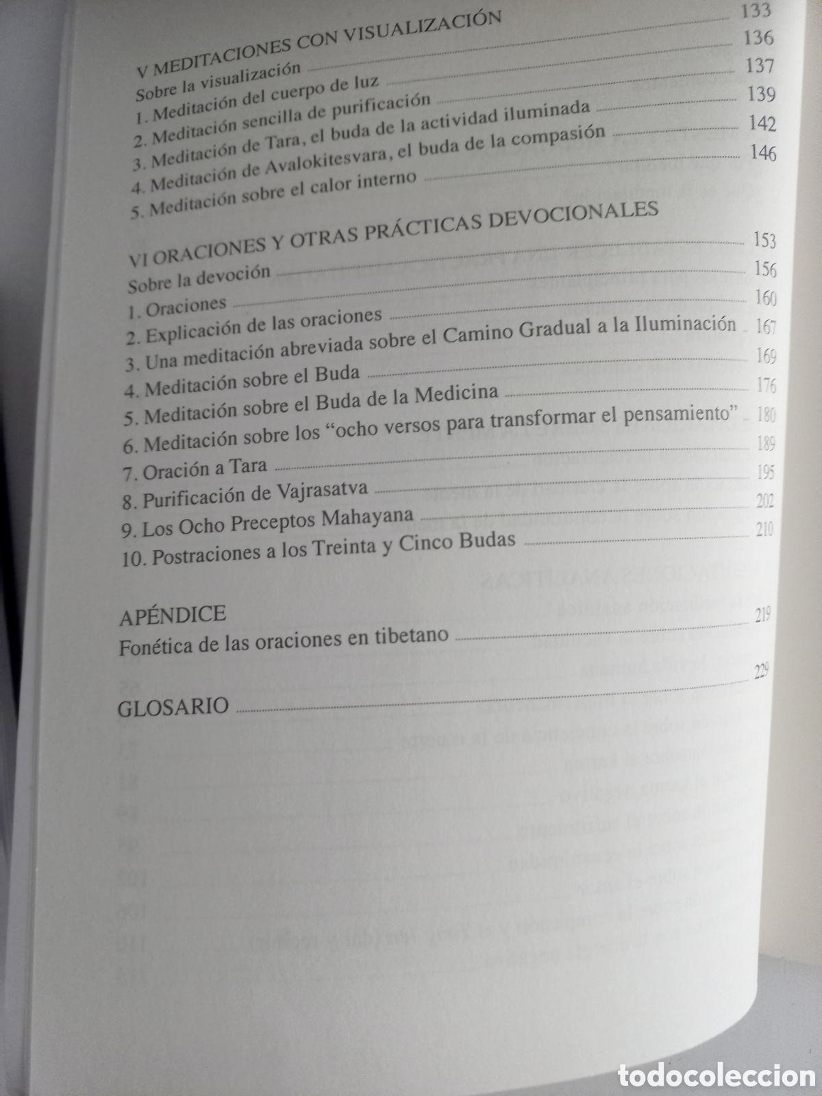 Libros: Aprendiendo de los lamas - Foto 4