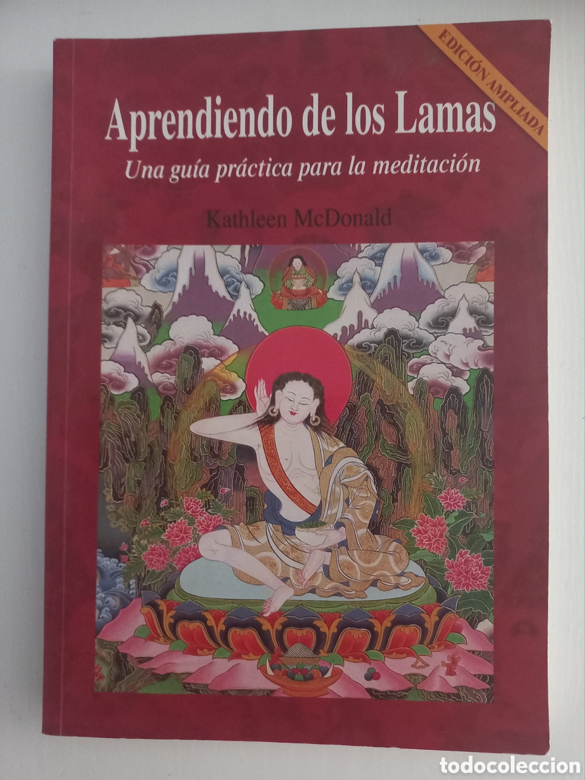Libros: Aprendiendo de los lamas - Foto 1