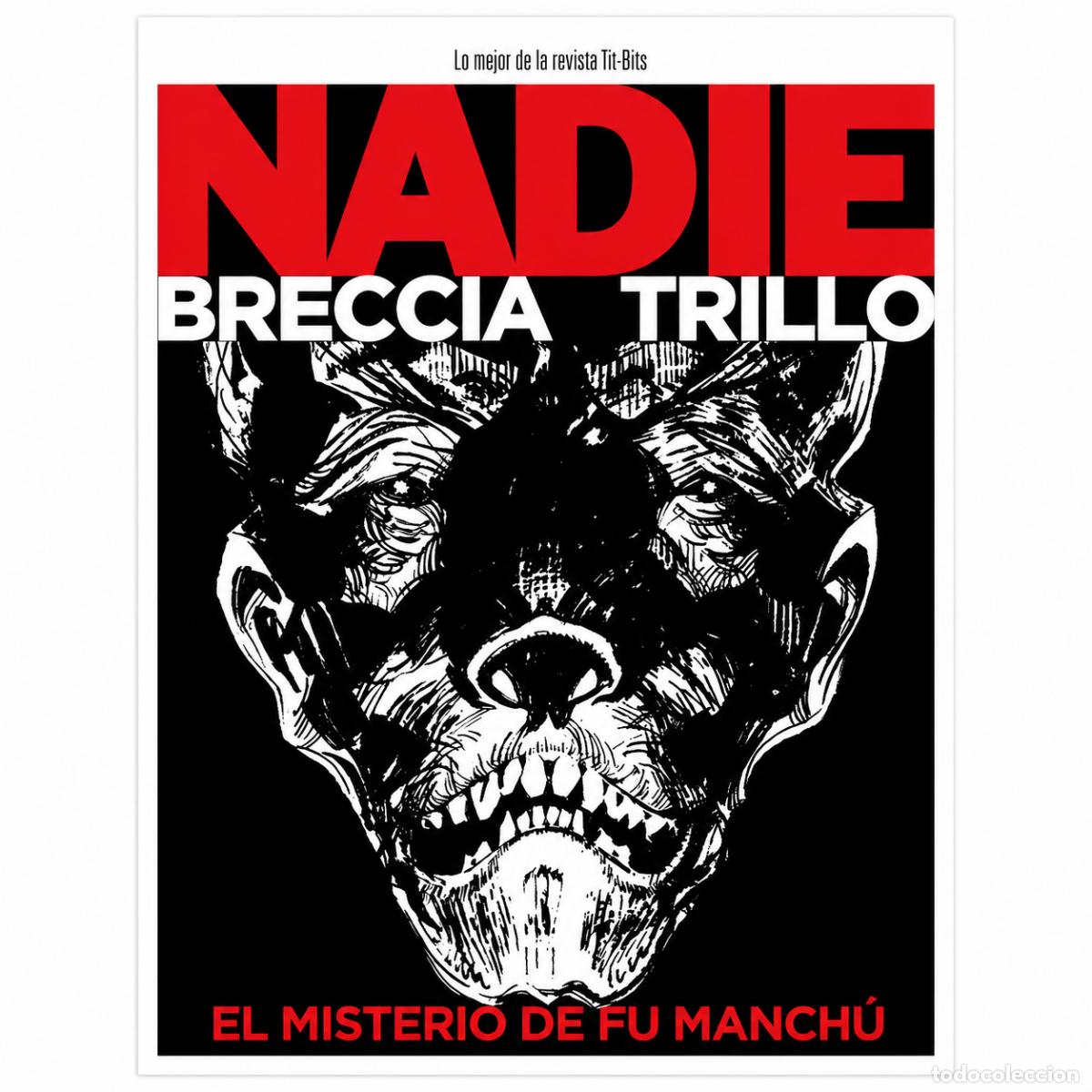 Libros: CARLOS TRILLO Y ALBERTO BRECCIA &ndash; NADIE. EL MISTERIO DE FU MANCH&Uacute; &ndash; DOEDYTORES &ndash; 2020 LM