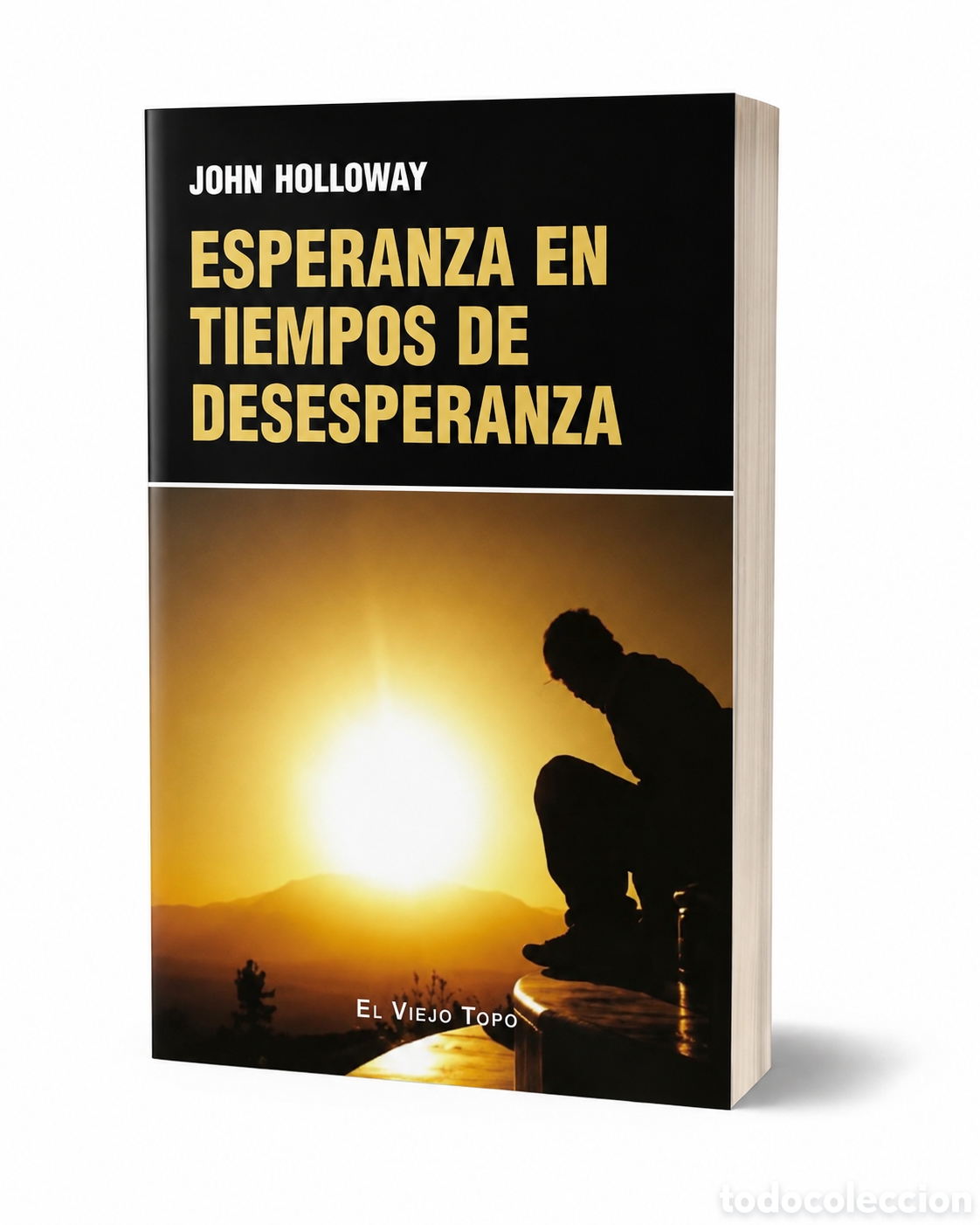 Libros: JOHN HOLLOWAY &ndash; ESPERANZA EN TIEMPOS DE DESESPERANZA &ndash; 2025&ndash; LMD