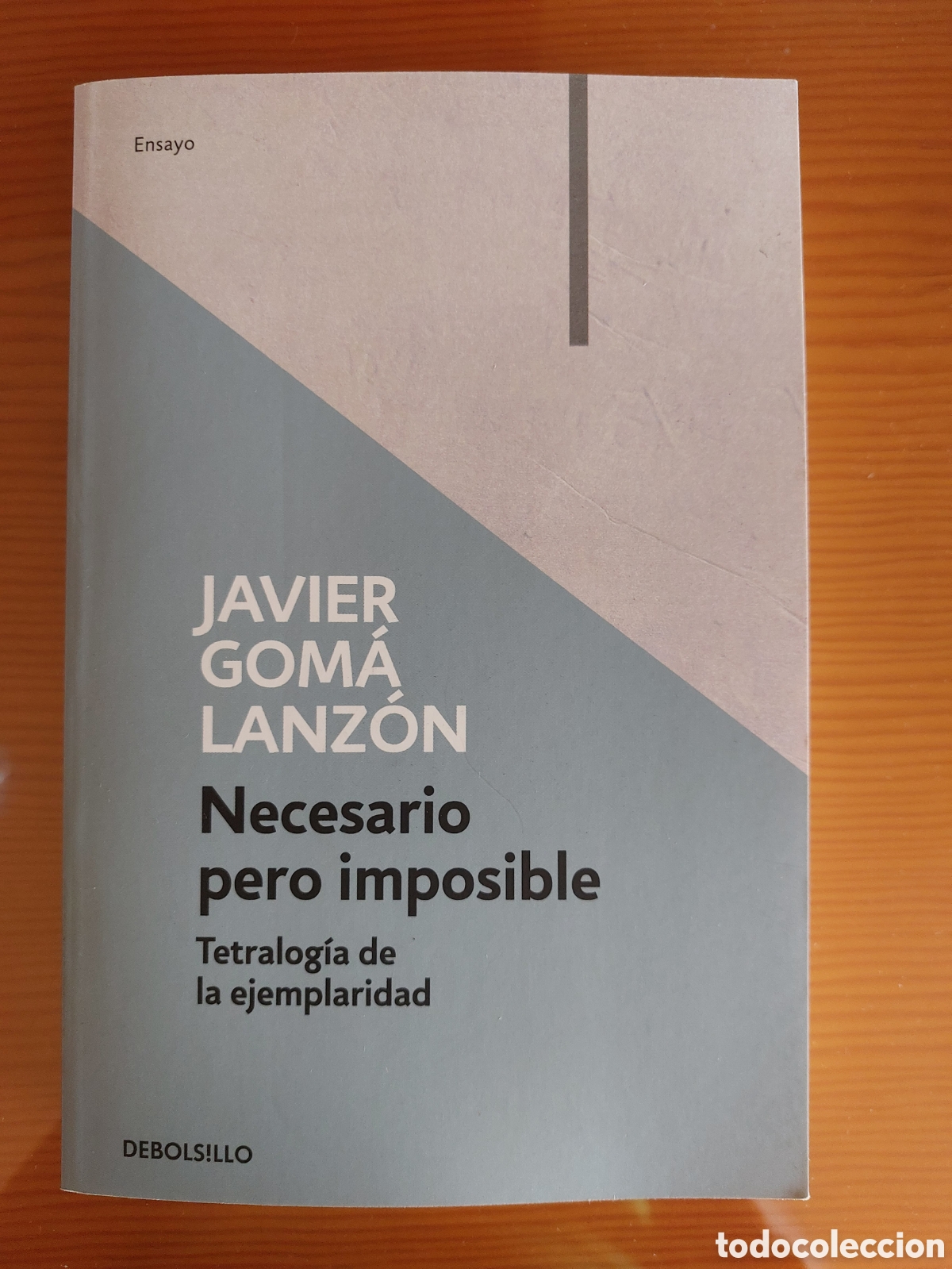 Libros: Necesario pero imposible. Javier Gom&aacute;