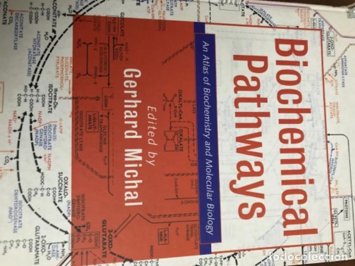 Libros: Biochemical Pathways - Gerhard Michal - Foto 1
