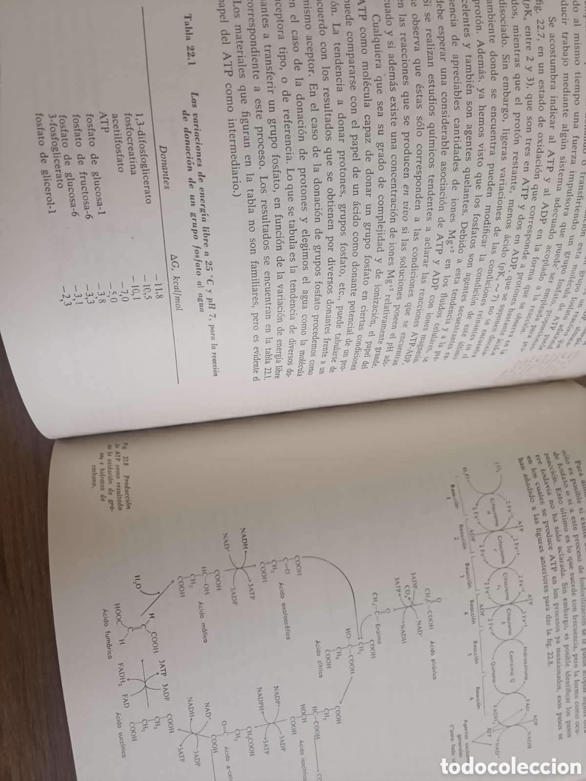 Libros: Qu&iacute;mica general (dos tomos) - Foto 19