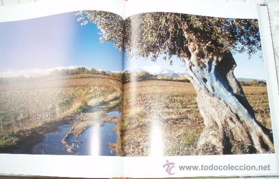 Libros: LOLIVIER DANS LES PYRENEES ORIENTALES - Foto 3
